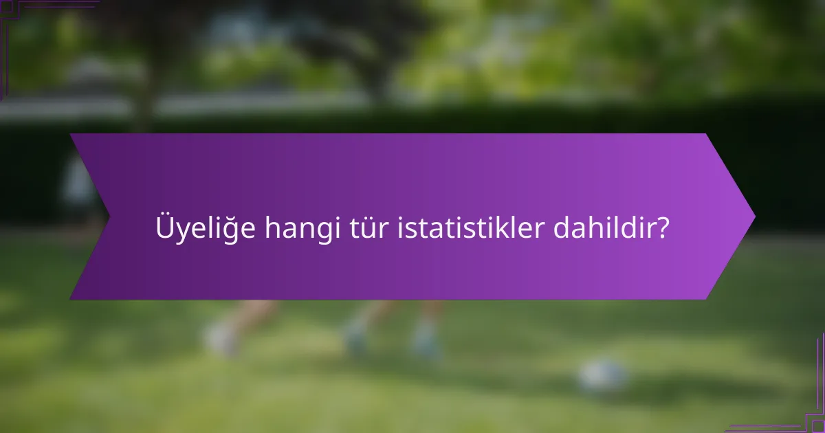 Üyeliğe hangi tür istatistikler dahildir?