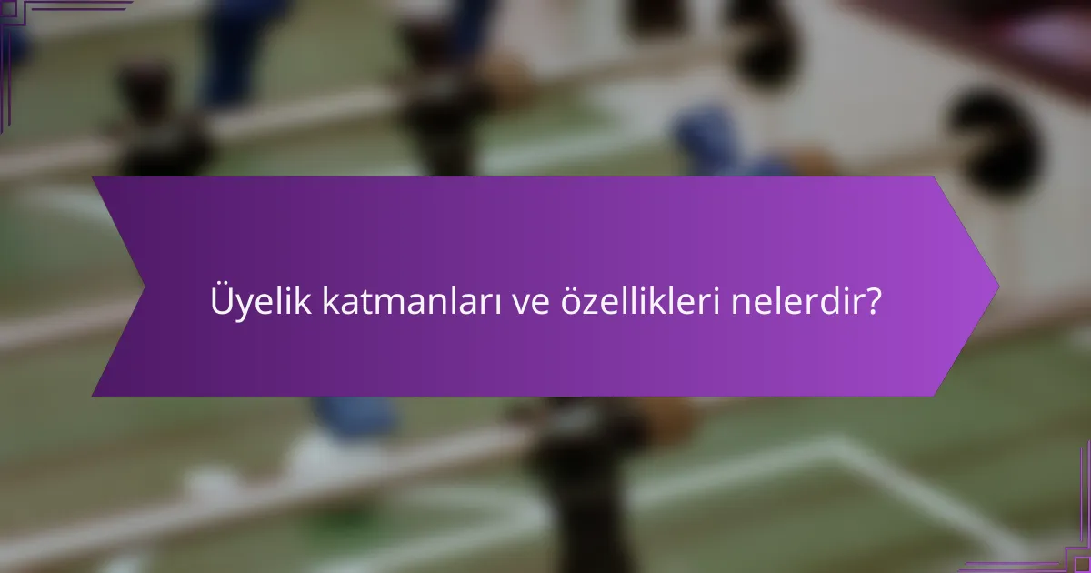 Üyelik katmanları ve özellikleri nelerdir?